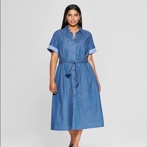 Midi Denim Dress